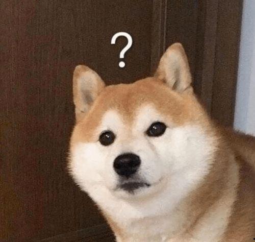 巴哥赤犬爆料了吗视频,背后惊人真相曝光  第1张